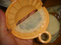 DSC04166.JPG