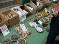 DSC05578.JPG