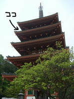 DSC05590.JPG