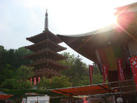 DSC05611.JPG