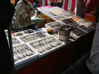 DSC09554.JPG