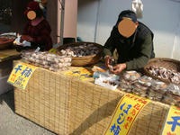 DSC09556.JPG