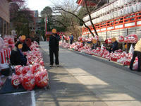 DSC09557.JPG