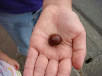 DSC03025.JPG