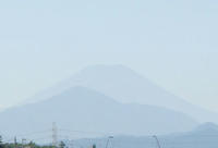 DSC03039.JPG