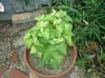 12007_0914_013023AA.JPG