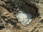9007c57d.jpg