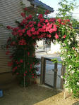 Dscf1473.jpg