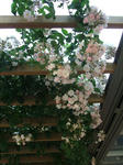 Dscf1474.jpg
