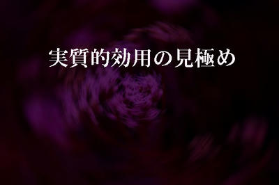 実質的効用の見極め