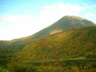 momiji_06.jpg