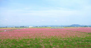 itakura_004.jpg