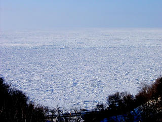 SANY0007_1.jpg