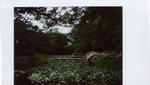 shimane11.jpg
