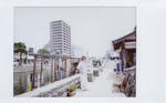 shimane10.jpg
