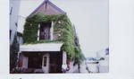 shimane9.jpg