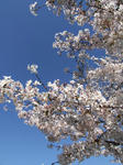 DSCF3767.JPG