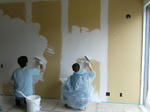 6245e9f2.JPG