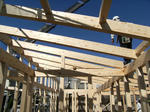 DSCF6552.JPG