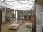 P3060003.JPG