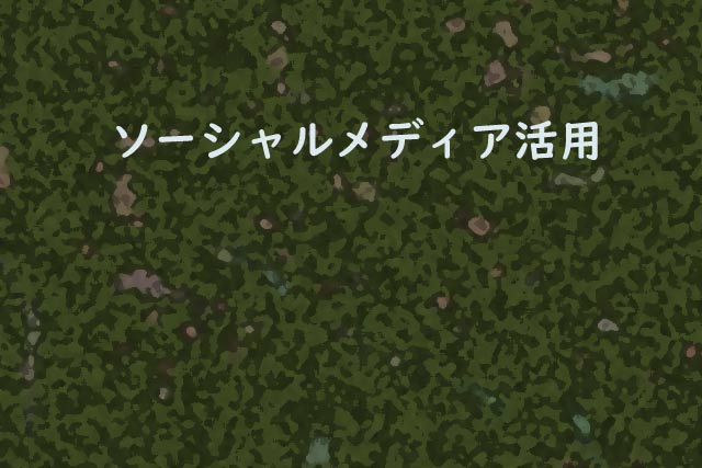 ソーシャルメディア活用