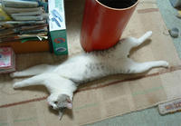 kai032.jpg