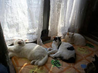 poohpanmayakane001.jpg
