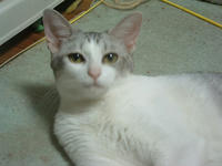 kai040.jpg