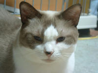 seira033.jpg