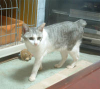 kai045.jpg