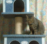 pippi098.jpg
