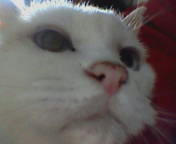 yuki065.jpg