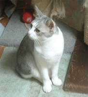 kai051.jpg