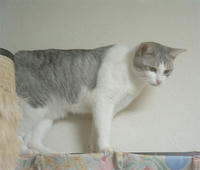 kai052.jpg