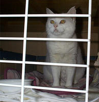 yuki035.jpg