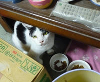 akane090.jpg