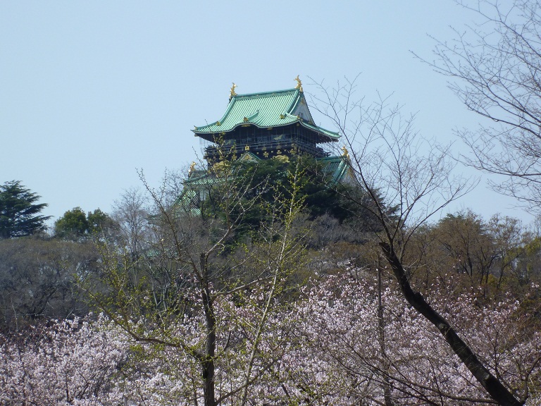 hanami27.jpg