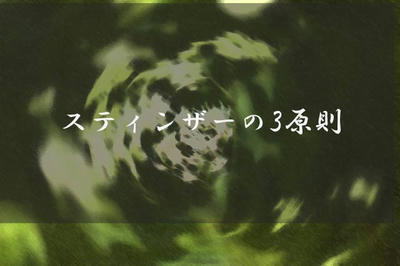 スティンザーの3原則