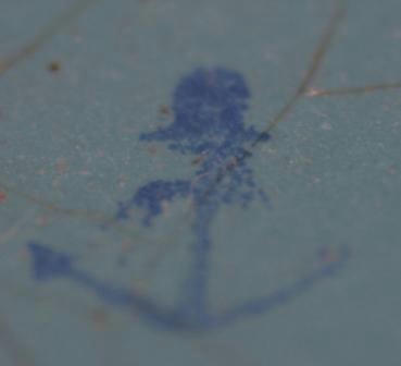 f6b2352f.jpg