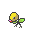 マダツボミ