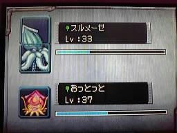 するめ１