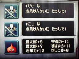 強がいこつ×２
