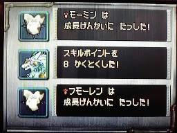 強モーモン×２
