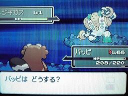 Lv１だと・・！？