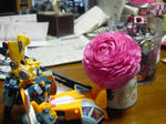 DSC03826.JPG