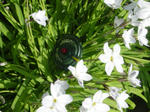 DSC03832.JPG