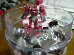 DSC03828.JPG