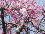 DSC03839.JPG