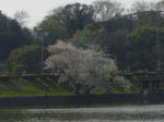 DSC03837.JPG