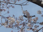 DSC03844.JPG